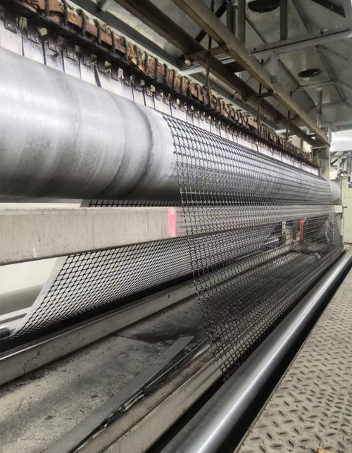 平頂山市政工程鋼塑土工格柵 聚乙烯復合鋼塑格柵